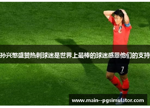 孙兴慜盛赞热刺球迷是世界上最棒的球迷感恩他们的支持