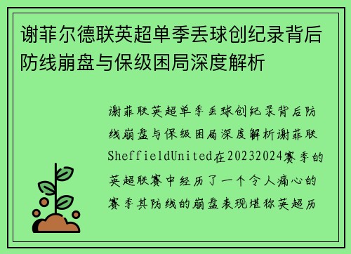 谢菲尔德联英超单季丢球创纪录背后防线崩盘与保级困局深度解析